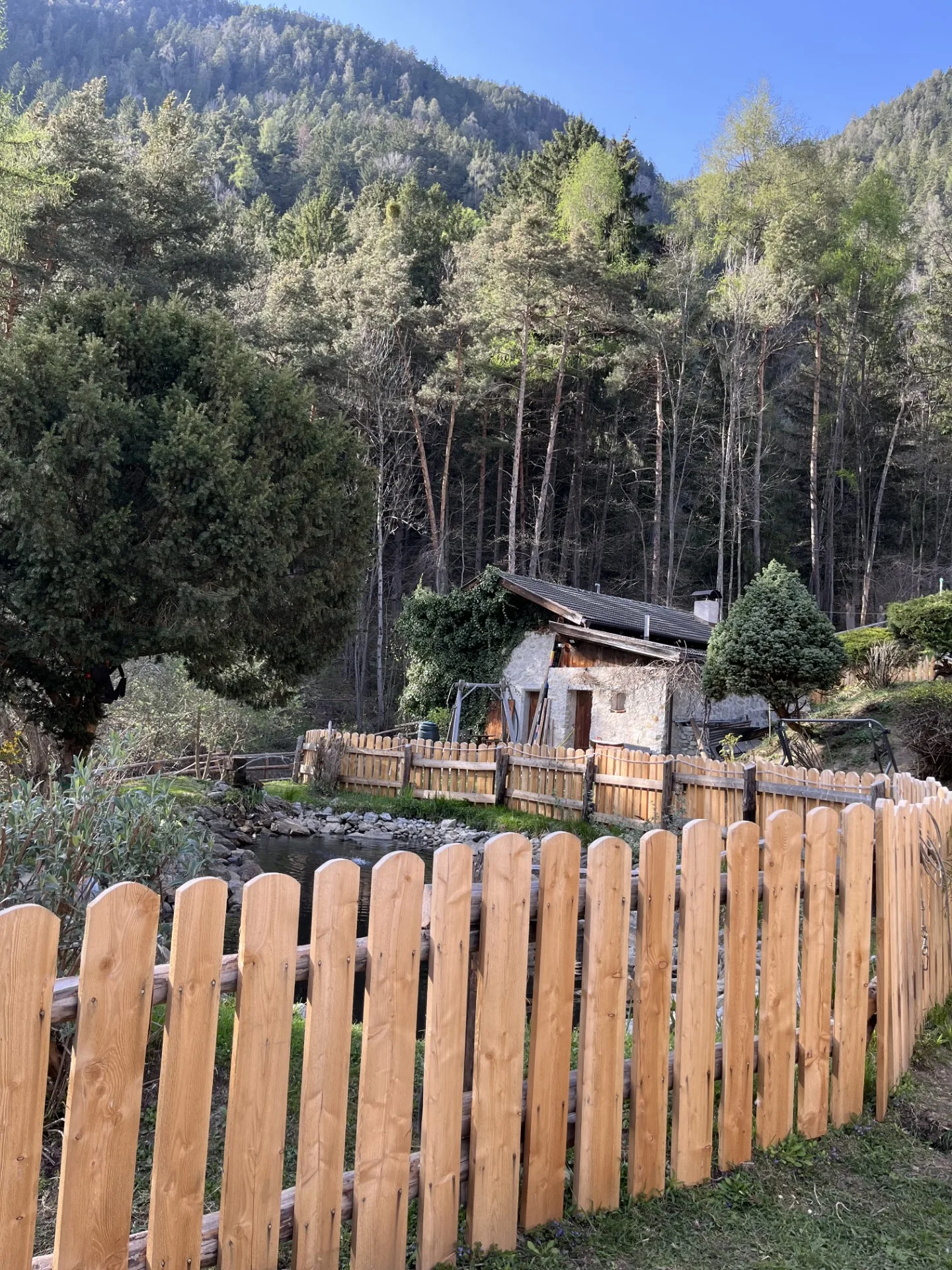 Il ruscello e il paesaggio boschivo intorno al maso Orthammer in Val Pusteria Il ruscello e il paesaggio boschivo intorno al maso Orthammer in Val Pusteria